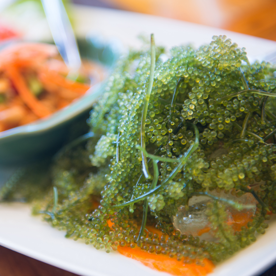 Salad Rong Nho