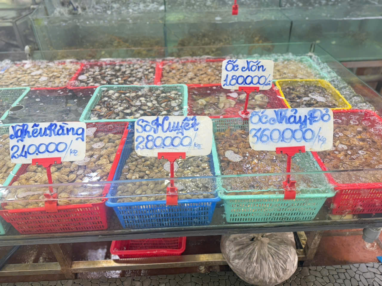 Bảng Giá Mực Lá Bạch Tuộc Tươi Sống - Hải Sản Thanh Sương